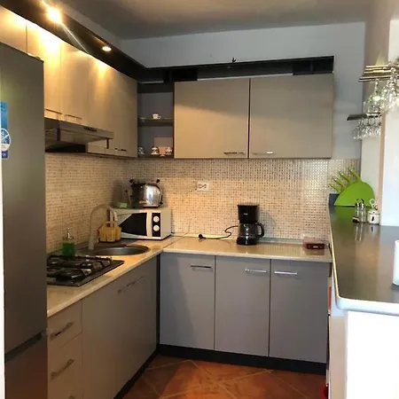 Daiana- Acceptam Vouchere Vacanta Holiday home *