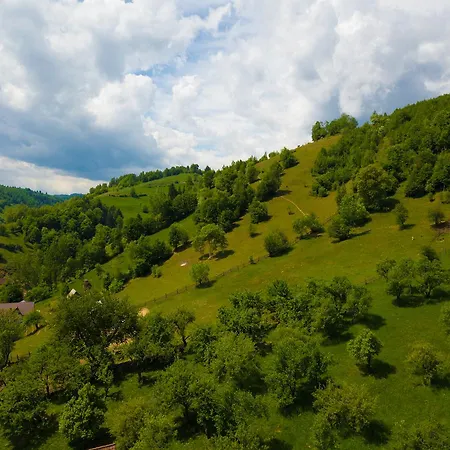 Daiana- Acceptam Vouchere Vacanta Holiday home
