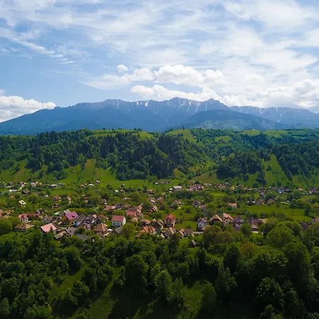 Daiana- Acceptam Vouchere Vacanta Holiday home *